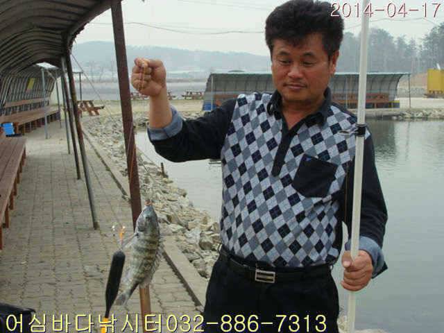 4월 17일 어심바다낚시터 조황사진 (유료터정보 - 유료터점주조황)
