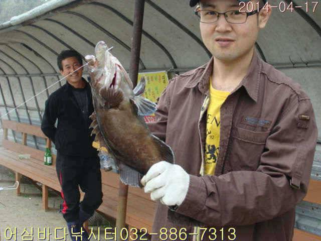 4월 17일 어심바다낚시터 조황사진 (유료터정보 - 유료터점주조황)