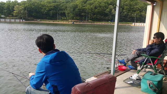 물 맑고 힘 좋은 용인 삼인 낚시터 (유료터정보 - 유료터점주조황)