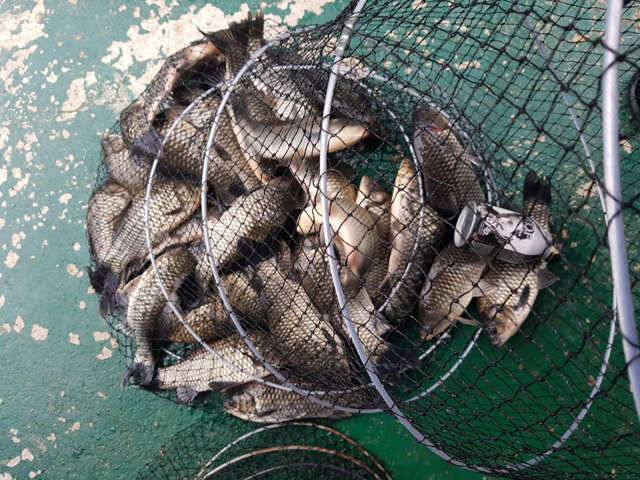 fish_pay_0806a_125538_26974.jpg