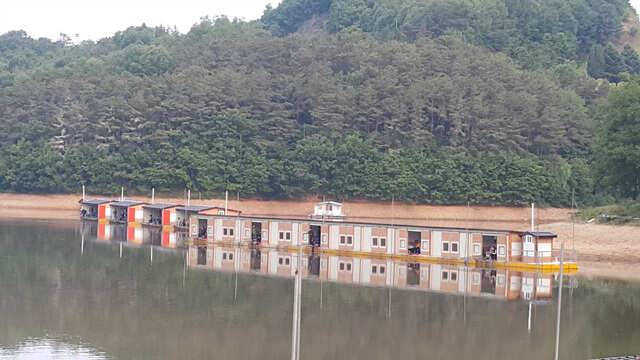 물 맑고 힘 좋은 용인 삼인 낚시터 주말 조황 (유료터정보 - 유료터점주조황)
