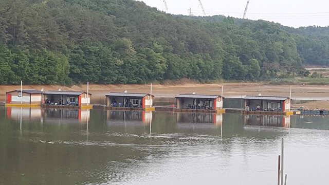 물 맑고 힘 좋은 용인 삼인 낚시터 주말 조황 (유료터정보 - 유료터점주조황)
