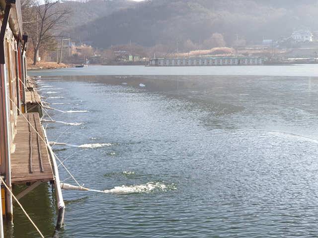 물 맑고 힘 좋은 용인 삼인 낚시터 조황용인 삼인낚시터 (유료터정보 - 유료터점주조황)