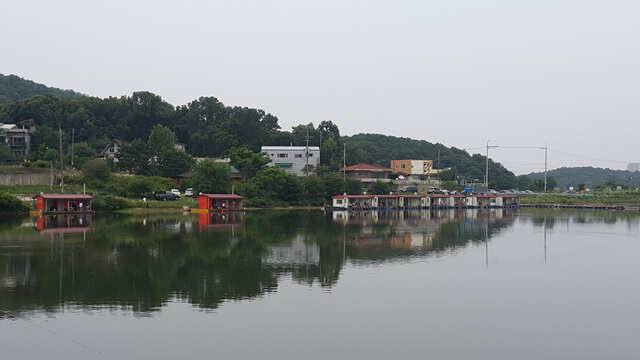 용인 삼인낚시터 주말조황용인 삼인 낚시터 (유료터정보 - 유료터점주조황)