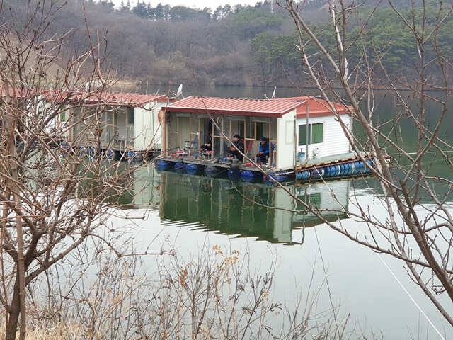 개장일 주말 조황용인삼인낚시터 (유료터정보 - 유료터점주조황)