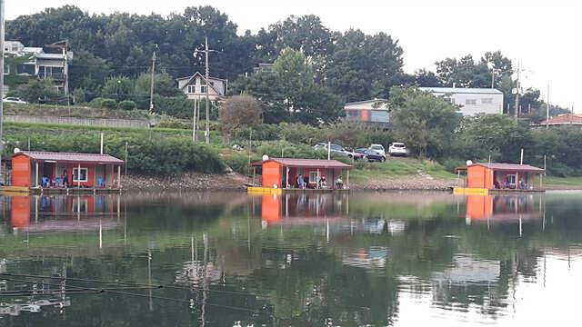 용인 삼인낚시터 소식용인삼인낚시터 (유료터정보 - 유료터점주조황)