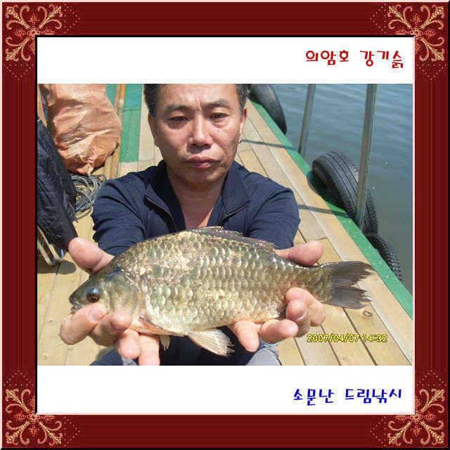 l 이런 좌대가 (유료터정보 - 유료터점주조황)