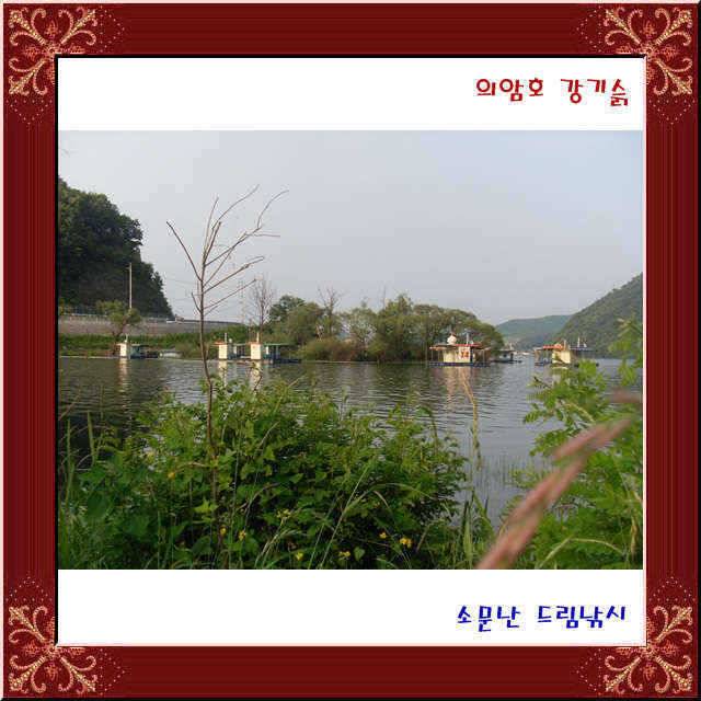 l 이런 좌대가 (유료터정보 - 유료터점주조황)