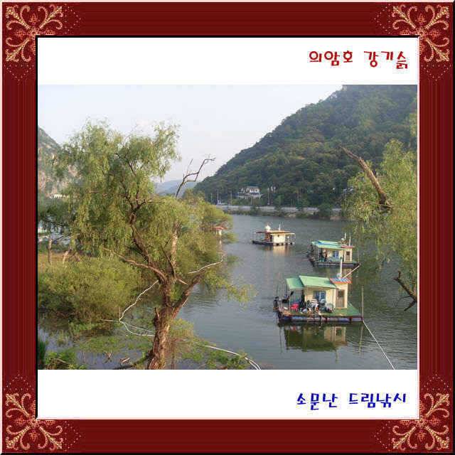 l 이런 좌대가 (유료터정보 - 유료터점주조황)