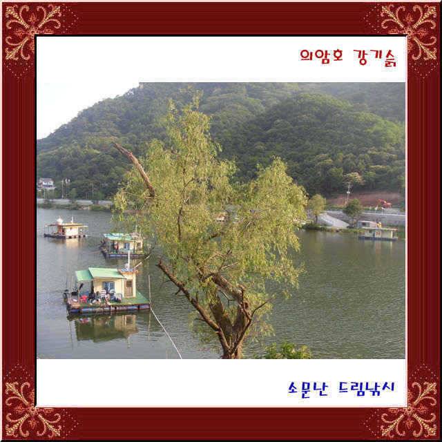 l 이런 좌대가 (유료터정보 - 유료터점주조황)