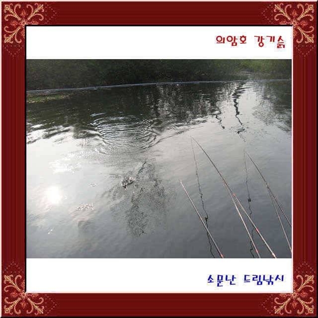 l 이런 좌대가 (유료터정보 - 유료터점주조황)