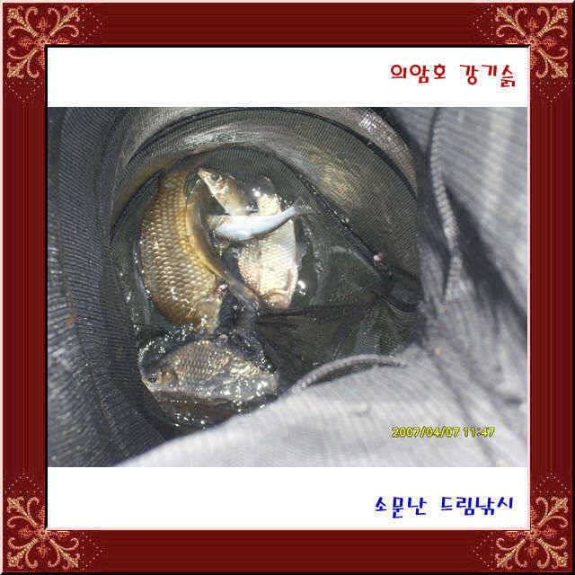 l 이런 좌대가 (유료터정보 - 유료터점주조황)