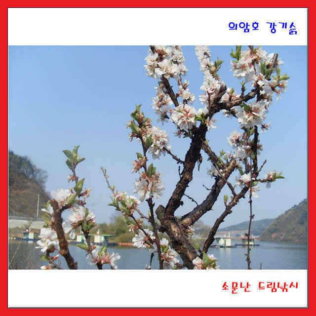 힐링 행복찾기 3 세번째 (유료터정보 - 유료터점주조황)
