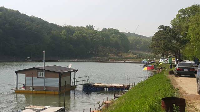 물 맑고 힘 좋은 용인 삼인 낚시터 (유료터정보 - 유료터점주조황)