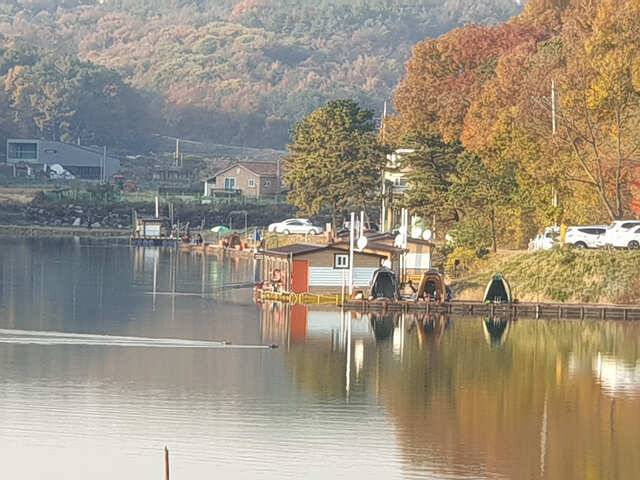 용인 삼인낚시터 주말조황용인 삼인 낚시터 (유료터정보 - 유료터점주조황)