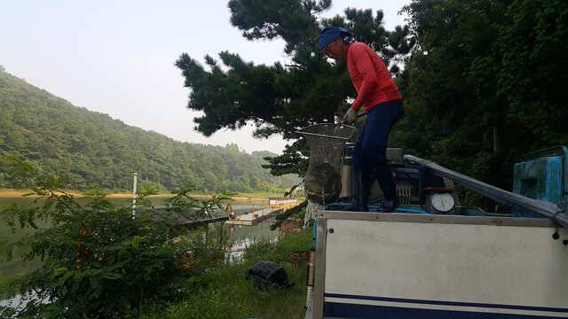 밤낚시가 즐겁습니다용인 삼인낚시터 (유료터정보 - 유료터점주조황)