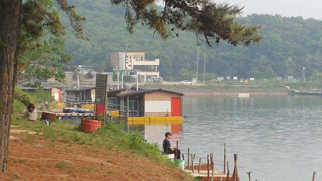 물 맑고 힘 좋은 용인 삼인 낚시터 (유료터정보 - 유료터점주조황)