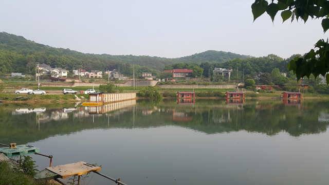 물 맑고 힘 좋은 용인 삼인 낚시터 (유료터정보 - 유료터점주조황)
