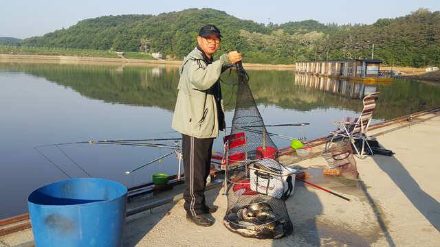 물 맑고 힘 좋은 용인 삼인낚시터 주말 조황 (유료터정보 - 유료터점주조황)