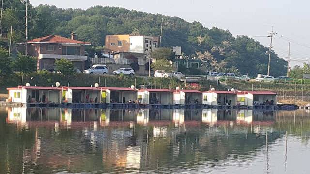 물 맑고 힘 좋은 용인 삼인낚시터 주말 조황 (유료터정보 - 유료터점주조황)
