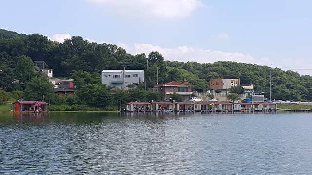 용인 삼인낚시터 주말조황용인 삼인 낚시터 (유료터정보 - 유료터점주조황)