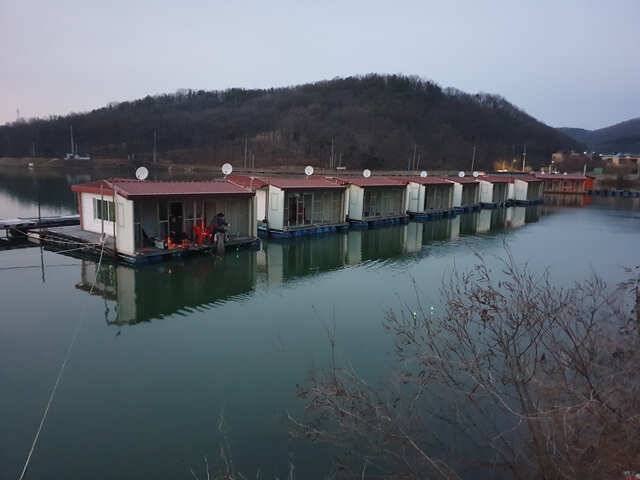 역시 밤낚시네요용인 삼인 낚시터 (유료터정보 - 유료터점주조황)