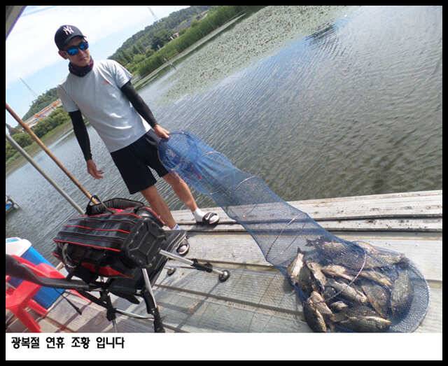 아산죽산지816일 고른 조황을 보인 광복절 연휴 입니다 (유료터정보 - 유료터점주조황)