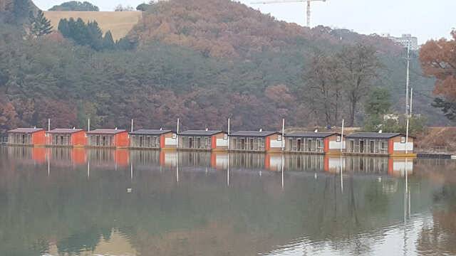 물 맑고 힘 좋고 경치 좋은용인삼인낚시터 (유료터정보 - 유료터점주조황)