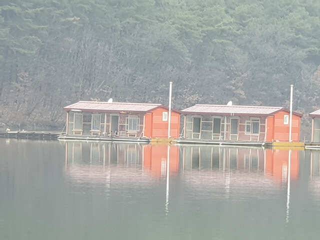 용인 삼인낚시터 주말 조황용인삼인낚시터 (유료터정보 - 유료터점주조황)