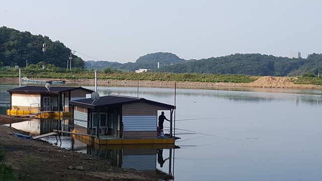 용인 삼인낚시터 소식용인 삼인 낚시터 (유료터정보 - 유료터점주조황)