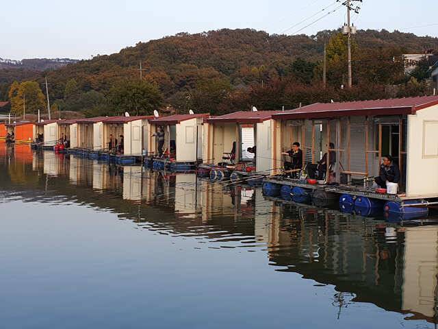 용인 삼인낚시터 주말조황용인 삼인 낚시터 (유료터정보 - 유료터점주조황)