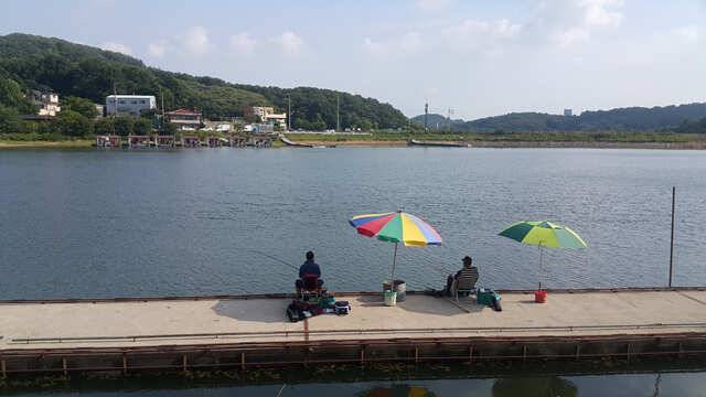용인 삼인낚시터 주말 조황용인삼인낚시터 (유료터정보 - 유료터점주조황)