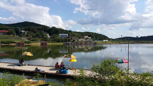 용인 삼인낚시터 주말 조황용인삼인낚시터 (유료터정보 - 유료터점주조황)