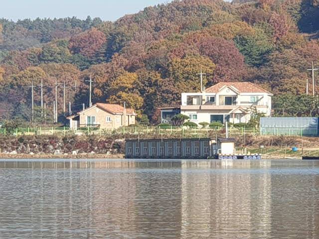 용인 삼인낚시터 주말조황용인 삼인 낚시터 (유료터정보 - 유료터점주조황)