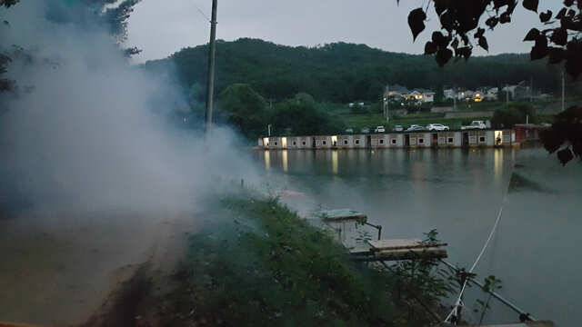 물 맑고 힘 좋은 용인 삼인 낚시터 조황용인 삼인낚시터 (유료터정보 - 유료터점주조황)