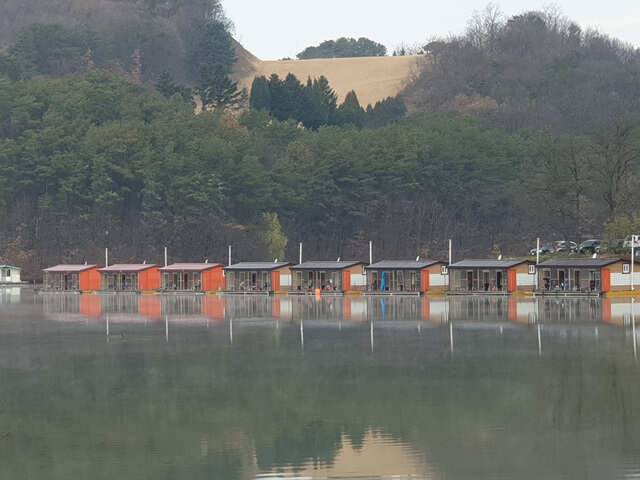용인 삼인낚시터 주말 조황용인삼인낚시터 (유료터정보 - 유료터점주조황)