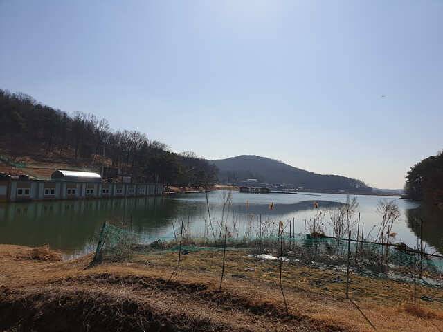 fish_pay_33e2c_013301_51366.jpg