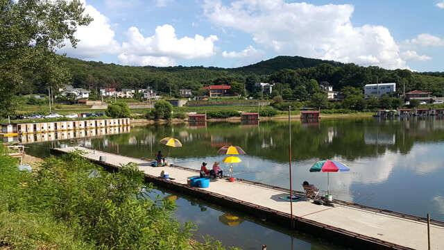 용인 삼인낚시터 주말 조황용인삼인낚시터 (유료터정보 - 유료터점주조황)