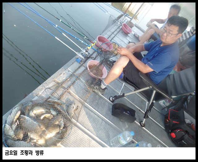 아산죽산지84일 금요일 조황과 방류 (유료터정보 - 유료터점주조황)