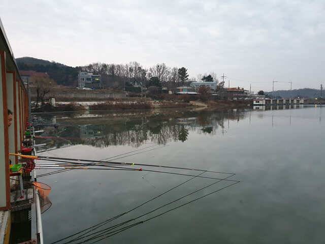 용인 삼인낚시터 주말 조황용인삼인낚시터 (유료터정보 - 유료터점주조황)