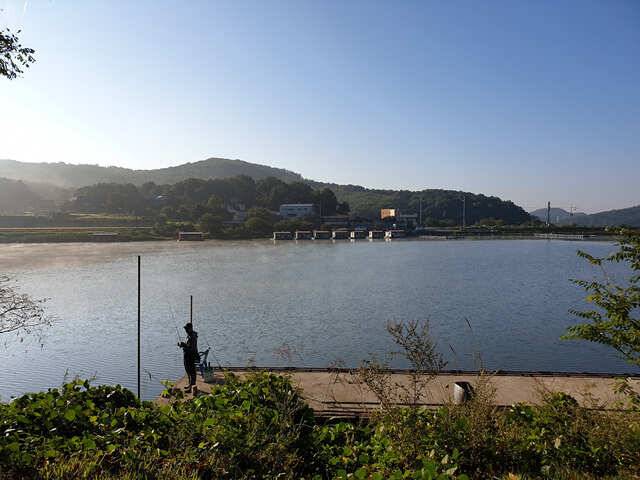 물 맑고 힘 좋은 용인 삼인 낚시터 조황용인 삼인낚시터 (유료터정보 - 유료터점주조황)