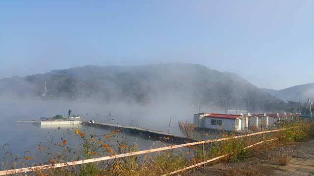 제대로 잘 나오네요용인삼인낚시터 (유료터정보 - 유료터점주조황)
