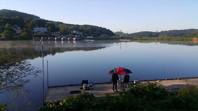 용인 삼인낚시터 주말 조황용인삼인낚시터 (유료터정보 - 유료터점주조황)