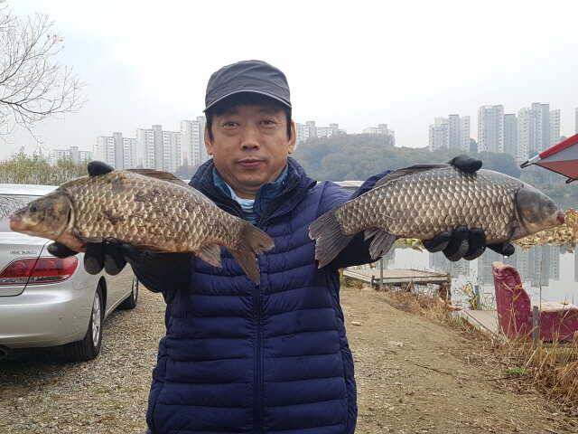 아산 명품월랑낚시터 11월 첫주 주중조황소식입니당 (유료터정보 - 유료터점주조황)