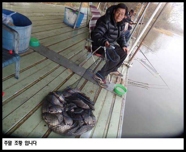 아산죽산지1111일 주말 조황과 동절기 요금인하 (유료터정보 - 유료터점주조황)