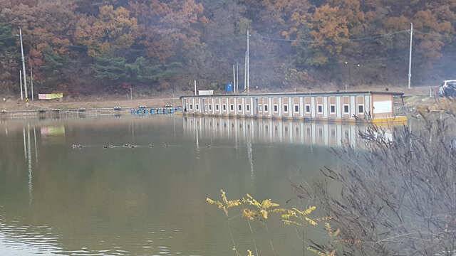 물 맑고 힘 좋고 경치 좋은용인삼인낚시터 (유료터정보 - 유료터점주조황)