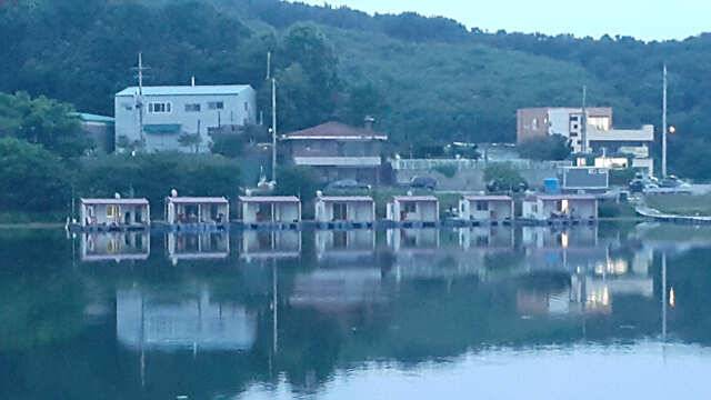 용인 삼인낚시터 소식용인 삼인 낚시터 (유료터정보 - 유료터점주조황)