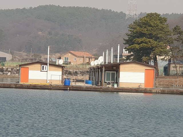 삼인낚시터 3월9일 개장합니다용인삼인낚시터 (유료터정보 - 유료터점주조황)