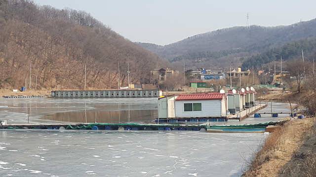 오늘 부터 날씨가 풀리네요용인 삼인낚시터 (유료터정보 - 유료터점주조황)