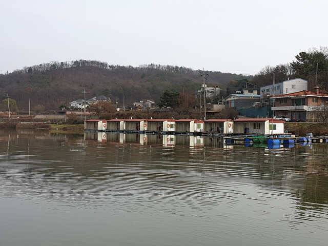 용인 삼인낚시터 주말조황용인 삼인 낚시터 (유료터정보 - 유료터점주조황)